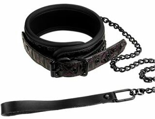 Ошейник с поводком BLAZE COLLAR AND LEASH PURPLE