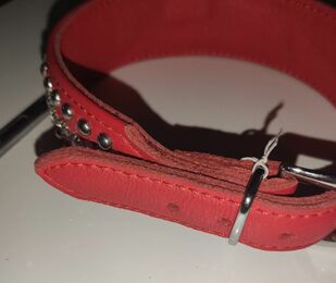 Ошейник Leather Rivet & Crystal, Red