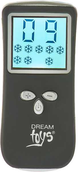 DT21840 Виброяйцо с пультом управления и дисплеем Dream Toys ALL TIME FAVORITES 10F REMOTE EGG DISPL