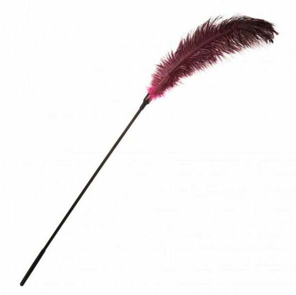 Перо для Шалостей Big ,Burgundy