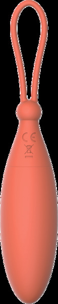 DT21805 Виброяйцо с дистанционным управлением Dream Toys CHARISMATIC CELIA