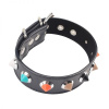 Ошейник Collar with Thorns || 