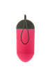 DT21840 Виброяйцо с пультом управления и дисплеем Dream Toys ALL TIME FAVORITES 10F REMOTE EGG DISPL || 