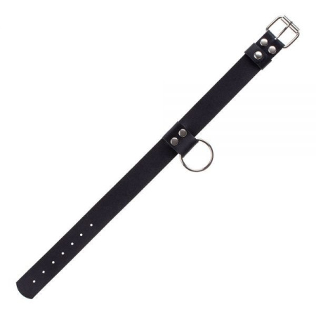 Ошейник Ring of Humiliti, Smooth Black || 