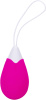 DT21839 Виброяйцо с беспроводным управлением Dream Toys ALL TIME FAVORITES 10F REMOTE EGG || 