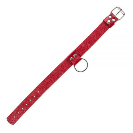 Ошейник Ring of Humiliti, Red || 