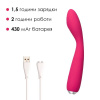 Вибратор для клитора и точки G Svakom Iris Plum Red || 
