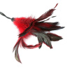 Метелочка-щекоталка Sportsheets - PLEASURE FEATHER RED на веревочной петле || 