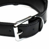 Ошейник Leather lackered, Black || 
