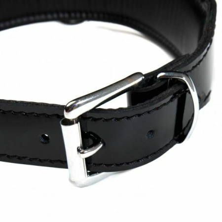 Ошейник Leather lackered, Black || 