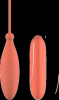DT21805 Виброяйцо с дистанционным управлением Dream Toys CHARISMATIC CELIA || 