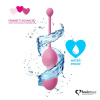Набор вагинальных шариков для продвинутых FeelzToys - FemmeFit Advanced Pelvic Muscle Training Set || 