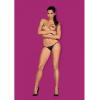 Пестис Obsessive A750 nipple covers || 