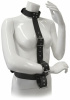 Система фиксации BLAZE RESTRAINT BODY