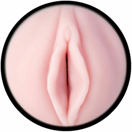 Мастурбатор вагина Fleshlight Pink Lady Destroya || 