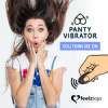 Вибратор в трусики FeelzToys Panty Vibrator Black с пультом ДУ, 6 режимов работы, сумочка-чехол || 