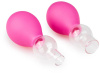 Вакуумные зажимы для сосков EasyToys Pink || 